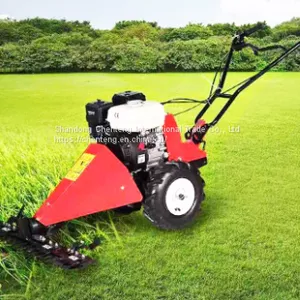 Diesel Grass Mower Self-propelled Gasoline Lawn Mower Four Stroke Gasoline Engine Driven Lawn Mower thumbnail-1