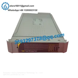 ICS TRIPLEX T8424C Programmable Modules thumbnail-2