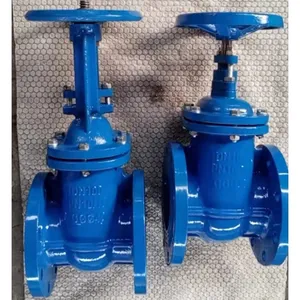 DIN Standard DN150 PN16 GG25 Cast Iron WCB Flange Gate Valve Non Rising Stem Hard Seal Gate Valve thumbnail-5