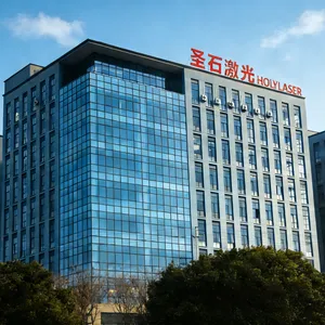 Zhejiang Shengshi Laser Technology Co., Ltd. company overview - view 1 thumbnail