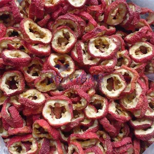 Stainless Steel Continuous Vegetables Drying Machine Fruits Drying Processing Line thumbnail-5