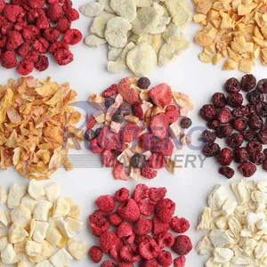 Vacuum Fast Freeze Dryer Food Freeze Drying Machine Equipment Freeze Dried Fruit Food Machine EPC thumbnail-5
