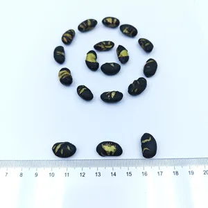 Premium Non-fried Large Black Soy Bean Snacks Roasted Saline Flavor for Global Supermarkets and Retailers thumbnail-5