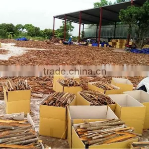 Split Cassia / Cinnamon Very High Quality and High Oil Content thumbnail-2