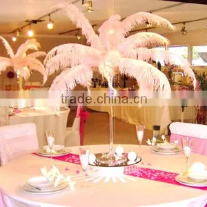 Best Price Natural Ostrich Plumes, Decorative Ostrich Feathers Wholesale thumbnail-4