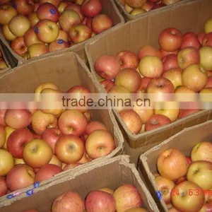Red Fresh Fuji Apple thumbnail-1