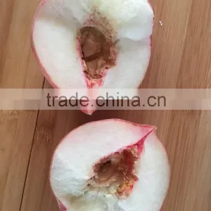 Fresh Peach thumbnail-2