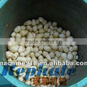 2012 New Design Potato Washing and Peeling Machine thumbnail-1