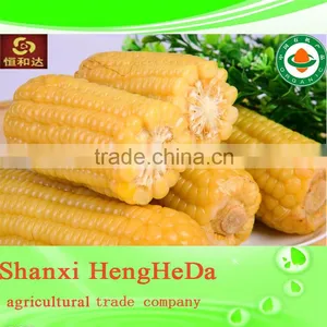 China Online Shopping With Certification Yellow Maize thumbnail-1