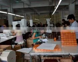 Guangzhou Sundo Packaging Box Co., Limited company overview - view 1 thumbnail