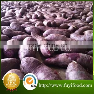 Exporter Fresh Purple Sweet Potatoes thumbnail-6