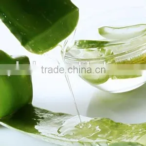 High Quality Aloe Juice Extractor Machine thumbnail-5
