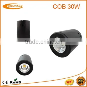 High Power Smd/cob Led Ceiling Light/ Cob Led Downlight 30w thumbnail-6