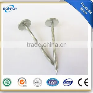Umbrella Head Roofing Nails 51mm thumbnail-1