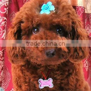 Necklace Pendant Charm Pet Dog Cat ID Tag thumbnail-6