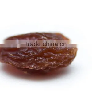 Golden Raisin thumbnail-1