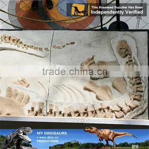 MY Dino-O11 Dinosaur Park Equipment Dinosaur Fossil Excavation Kit thumbnail-4