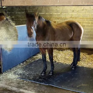 EVA Stable Horse Mat thumbnail-5