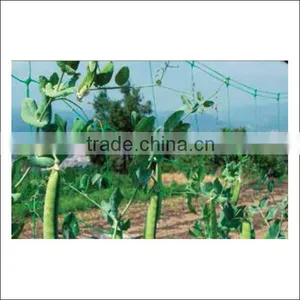 High Quality Green Color Climbing Plant Support Net thumbnail-1