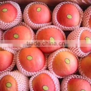 Chinese Fuji Apple thumbnail-1