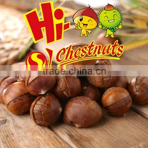 Natural Sweet Roasted Inshelled Chestnut Snacks thumbnail-1