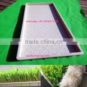 Agricultural Greenhouse Soilless Culture Polystyrene Tray thumbnail-1