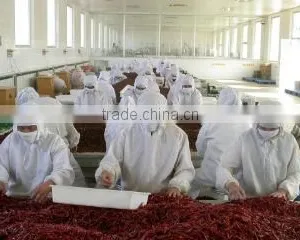 Shandong Pangda Condiment & Food Co., Ltd. company overview - view 2 thumbnail