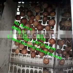 Mushroom Leg and Cap Separator Machine / Mushroom Stem Removal Machine thumbnail-4