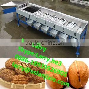 Nut Size Sorting Machine/walnut Size Grader/walnut Size Sorter thumbnail-1