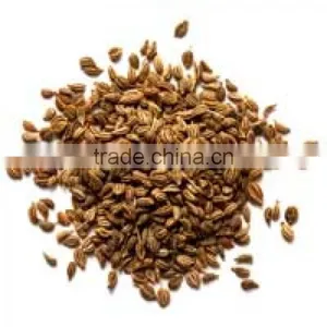 AJOWAN SEED 20% OIL thumbnail-3