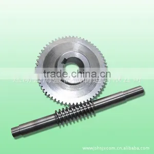 Cylinderical Worm thumbnail-1