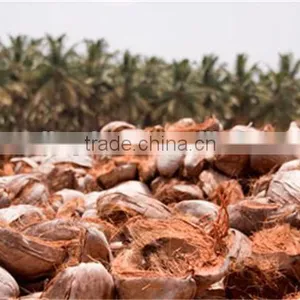 2017 New Energy Saving Oil Palm Fibre Dryer Machine/coco Fibre Dryer for India and Paksitan Clients thumbnail-3