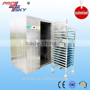 Large Industrial Refrigerated Ice Cream Rapid Freezer thumbnail-1