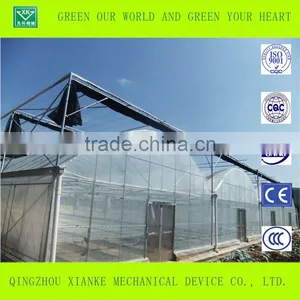 Low Price Prefabricated Multi Span Multi Function Greenhouse thumbnail-3
