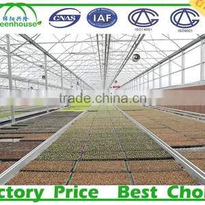 PC Sheet Cover Material and Multi-Span Commercial Greenhouses for Agriculture for Sale thumbnail-2