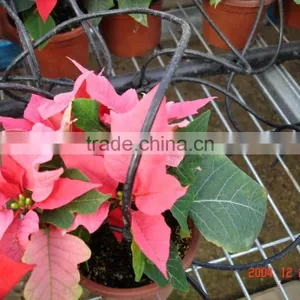 Irrigation System thumbnail-4