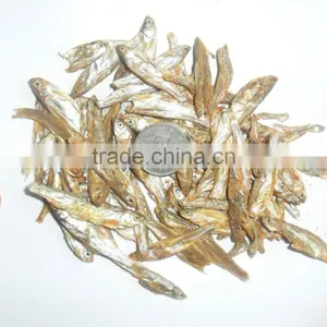 High Quality and Best Price Types of Dried Fish Cat Food thumbnail-1