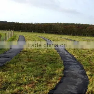 Agricultural pp Weed Mat Black Plastic Ground Cover for Sale thumbnail-5