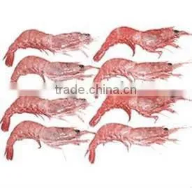 Frozen Red Shrimp thumbnail-1