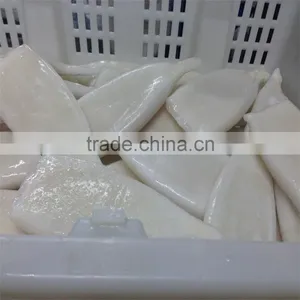 Pacific Squid Tube Frozen thumbnail-5