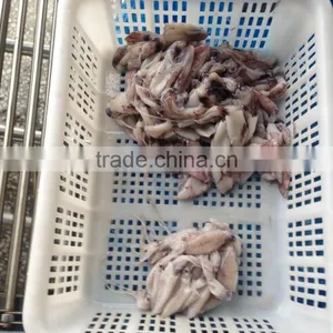 Grade A BQF Baby Squid Loligo Japonica thumbnail-3