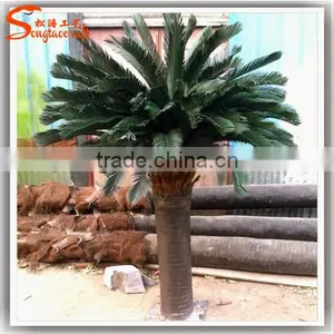 Hot Sale 40inch Artificial Sago Palms Artificial Cycas Palm Tree thumbnail-4