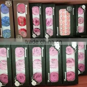 Everlasting Rose A Grade 6 to 7 cm Preserved Rose From Yunnan thumbnail-6