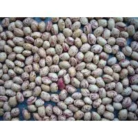 Evergold International Trade Ltd company overview - view 1 thumbnail