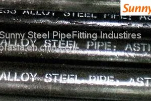 ASTM A213 T22 Seamless Alloy Pipe thumbnail-2