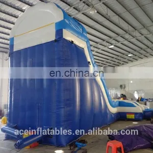 Giant Inflatable Water Slide for Adult,Ace Summer Water Slide,adult Size Inflatable Water Slide thumbnail-4