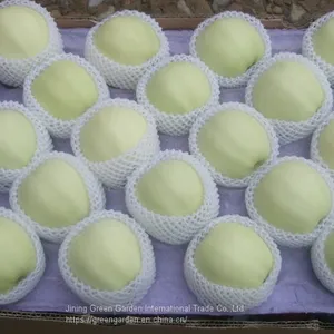 Chinese Yellow Golden Apple thumbnail-1