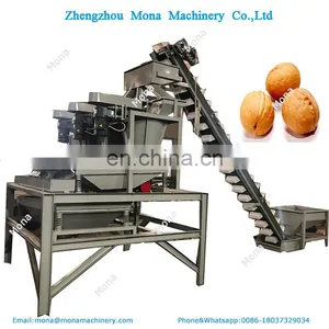 Walnut Shell Grinder Nut Shelling Processing Line|Walnut Shelling Production Line thumbnail-6