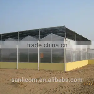 Agriculture Commercial Plastic Film Covered Greenhouses thumbnail-2