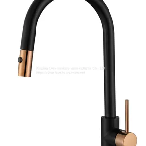 Pull-out Sink Mixer thumbnail-1